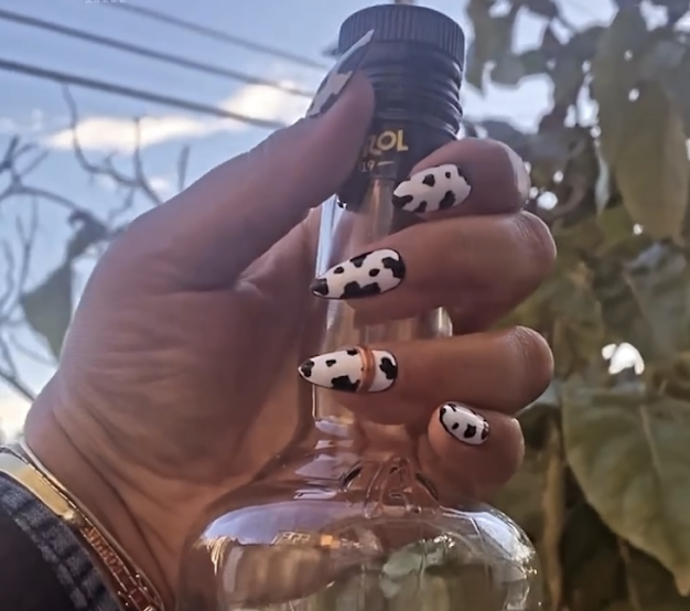 custom essential elegance press-ons